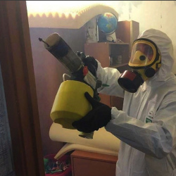 Уничтожение клопов в квартире. Сиверский
